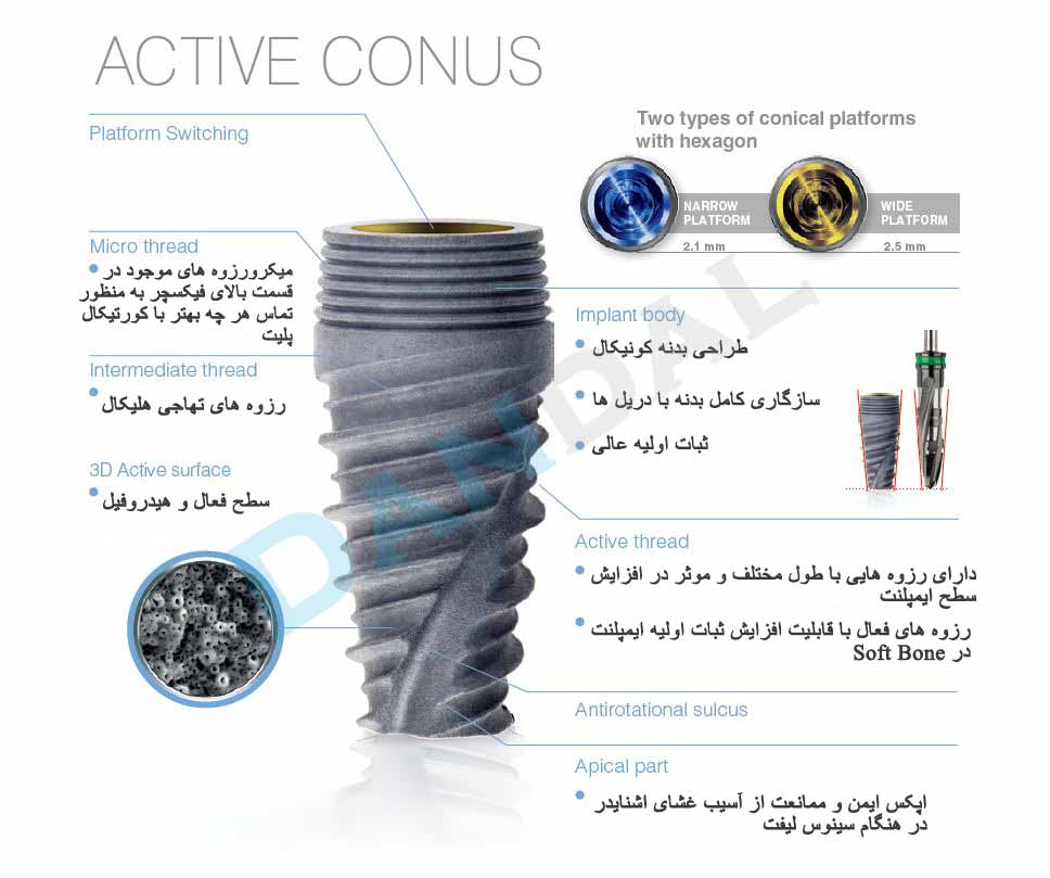 alpha dent active conus